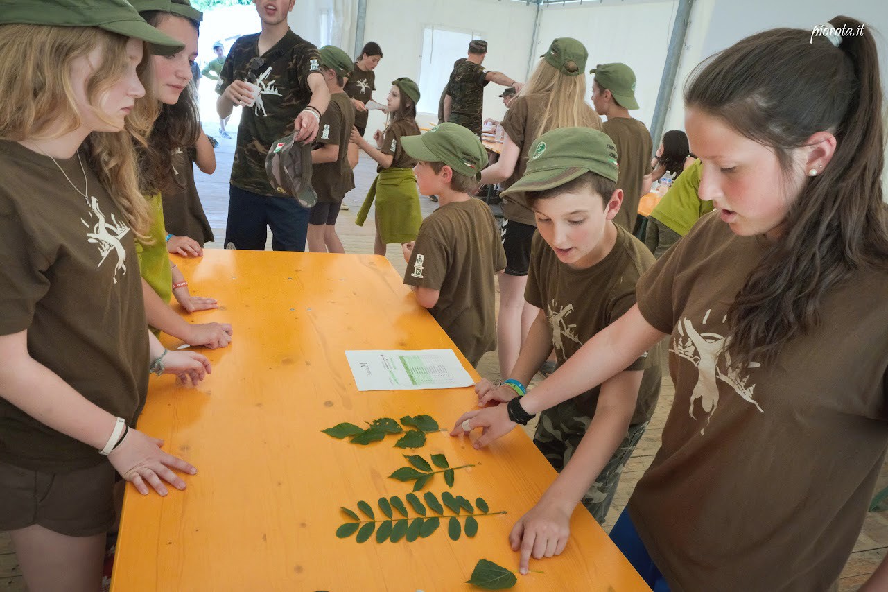 5ª edizione del campo scuola, 2015, Campino