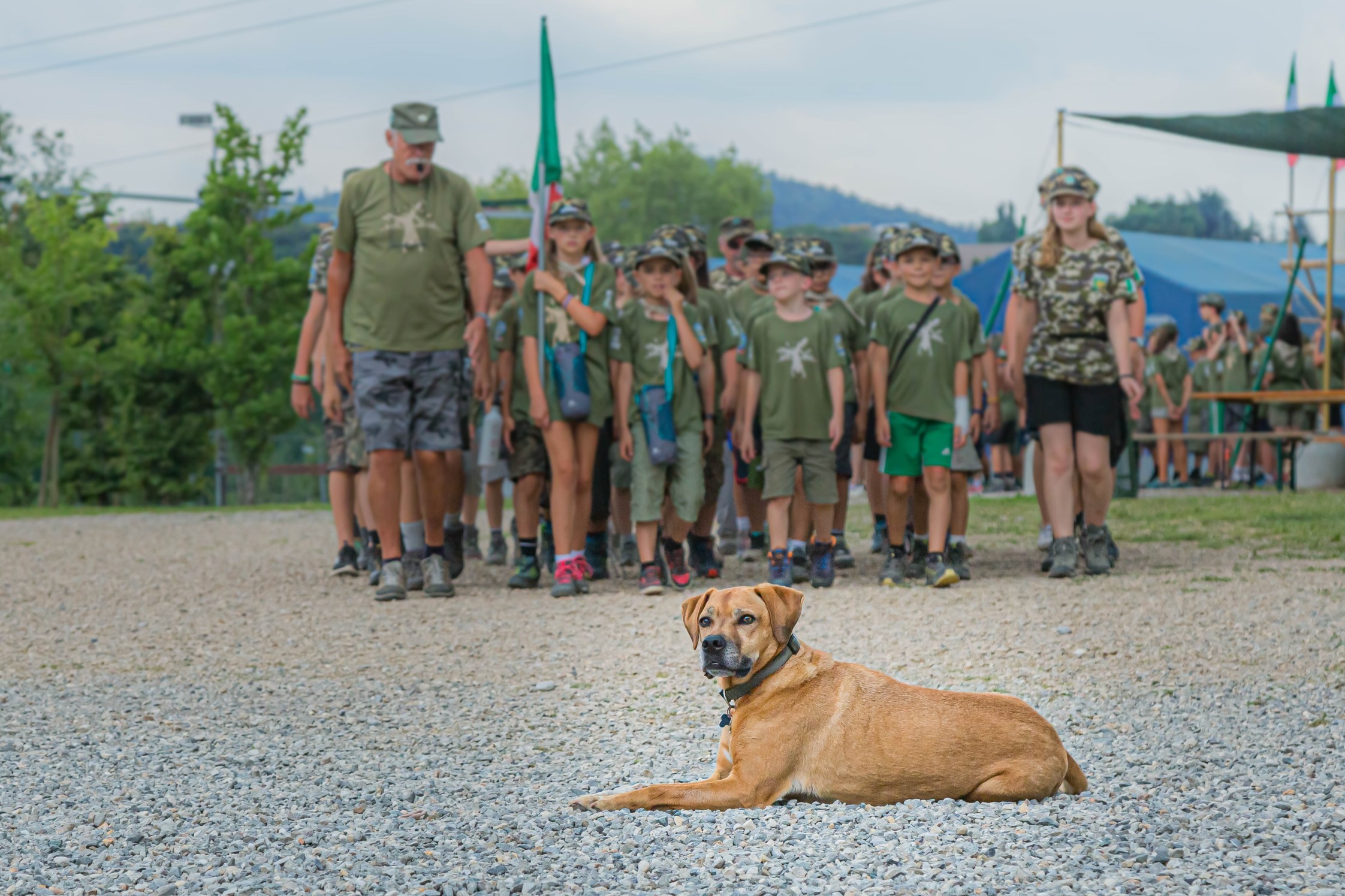 14ª edizione del campo scuola, 2025, 70° anniversario del Gruppo Alpini